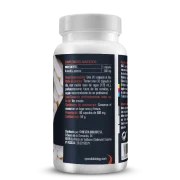 NAC 300 Synestia