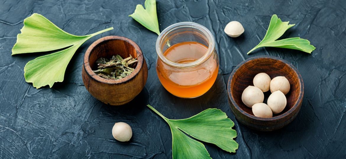 ginkgo-biloba