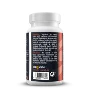 Coenzima Q10 Synestia