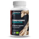 Cordyceps_Syn_MOCKUP