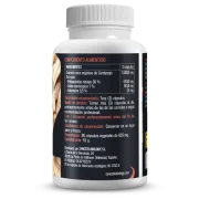 Cordyceps Synestia (629mg-90 cáps)