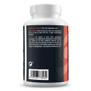 Map Synestia (1.300 mg-240 comp.)