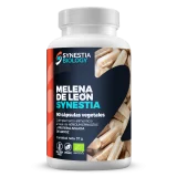 Melena de León_Synestia_MOCK UP LR