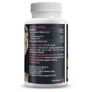 Melena de León (700mg-90 cáps)