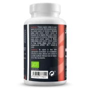 Micorrize (780mg-90 cáps)