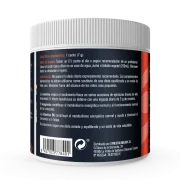 Creatina Plus Synestia